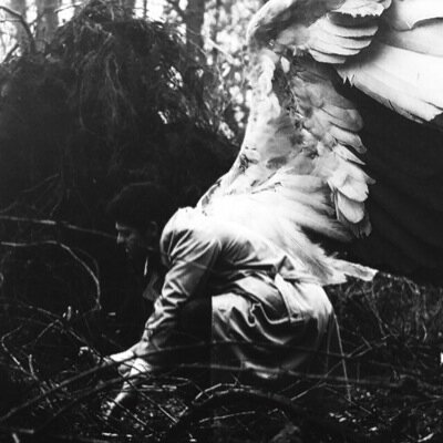 frailcas's profile picture. Follow @eriklamehnsherr