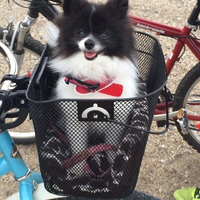 Susie44Susie's profile picture. Susan the voesenek yo wassup