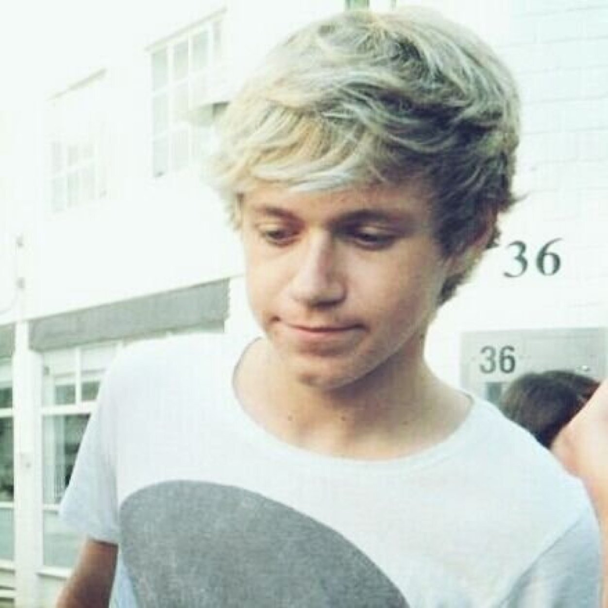 Hi, this is @contiguousniall and I just wanted to tell you that niall thinks you're hot and he would bang you!