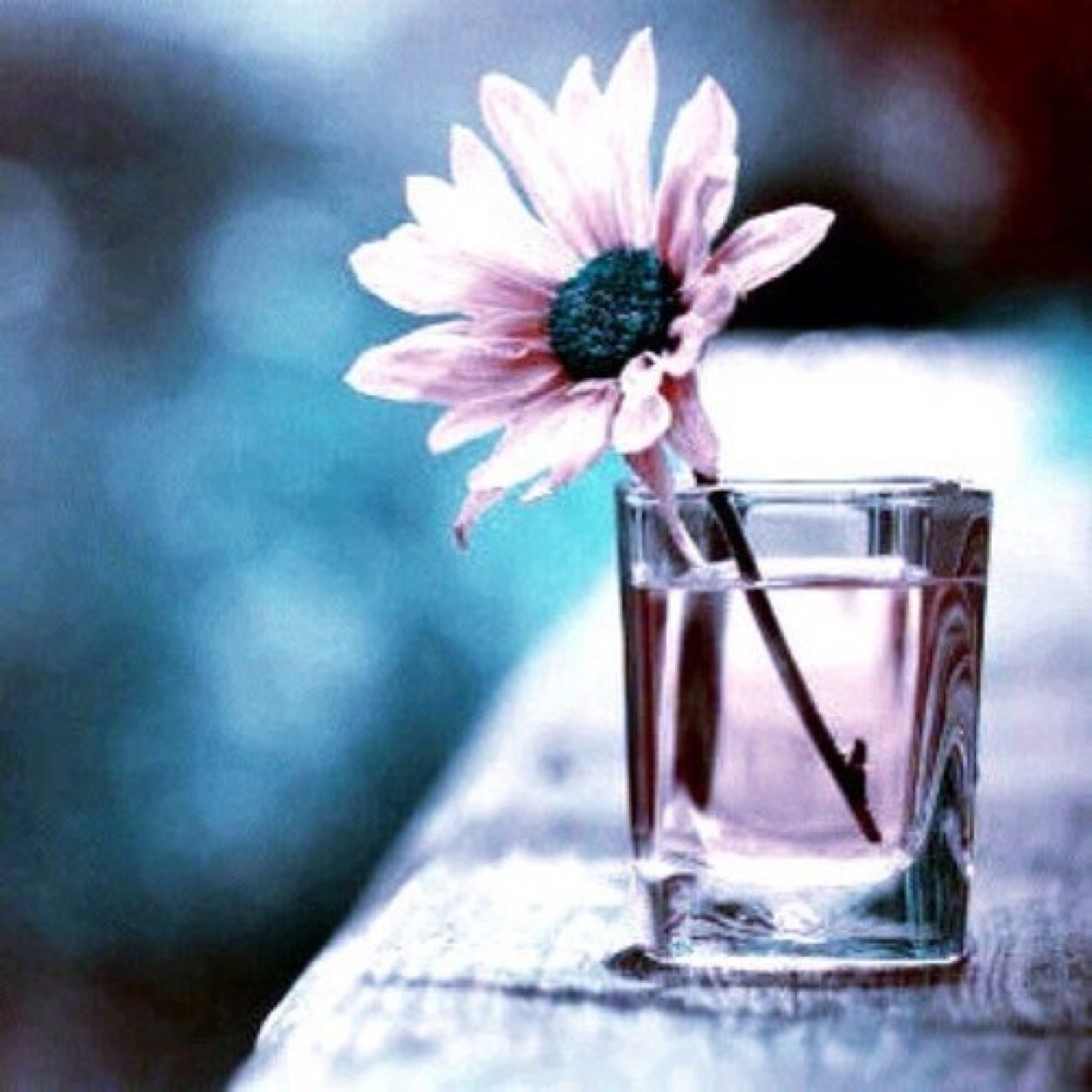 ♡ بين شتات الدّنيا وضيقها ليسَ لنا ملاذاً سوى الله وكفى به وكيلاً . الخـًٌٓـــاص مـــهــمــل .