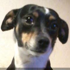 SierraMoncayo's profile picture. 