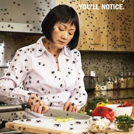 Dumpling-maker to the stars.