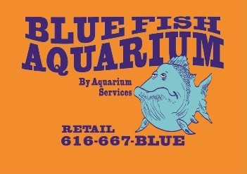 Specializing in freshwater and saltwater fish, corals, invertebrates and aquascapes.