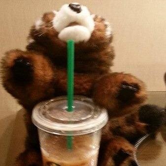 Hello. I'm Scarlett I'm a red panda. I have a passion for Shane Dawson. @JanetLaCava is my best friend :)
