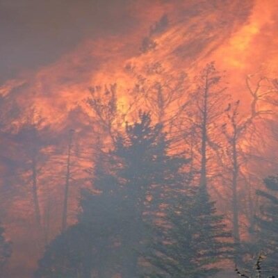 wildland fire news and information (Views expressed are my own. RT's are not an endorsement.)