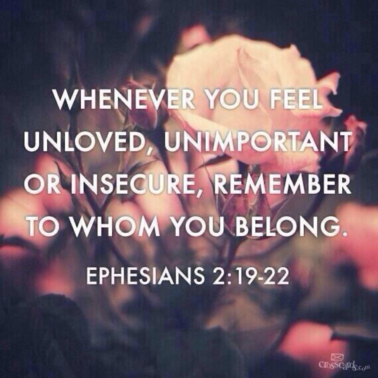 Living for Him daily.❤Jesus is my number one