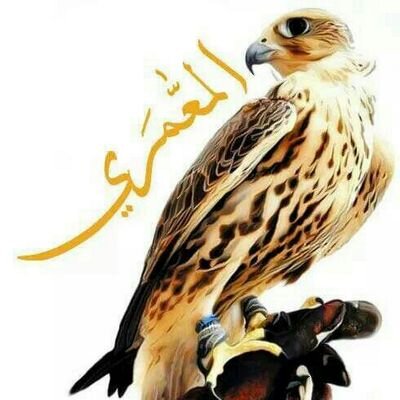 al_3na___'s profile picture. PIN : 2AD7912C