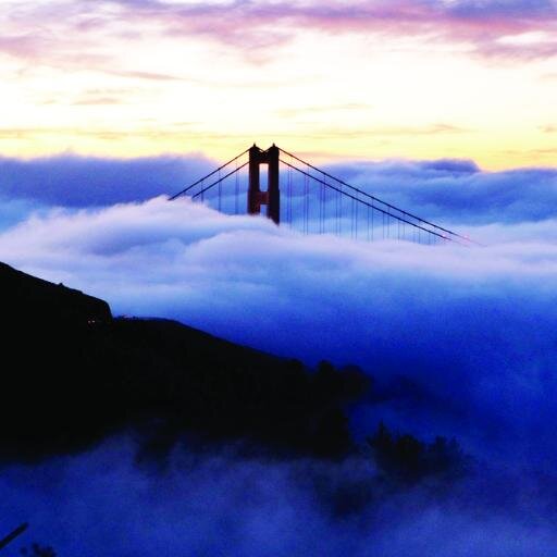 Liv1aBishop's profile picture. Beeraholic , Professional internetaholic #