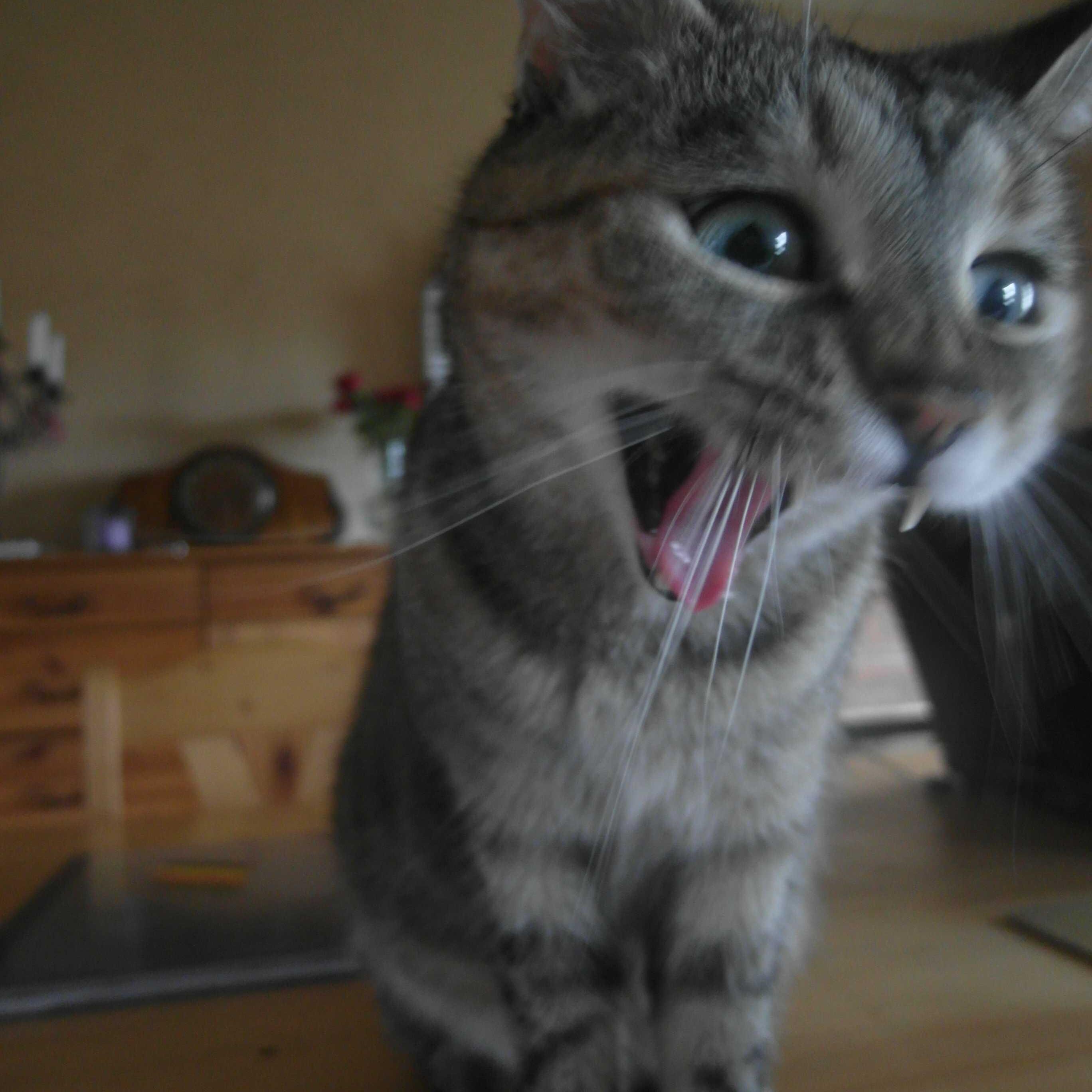 electronbeam1's profile picture. 