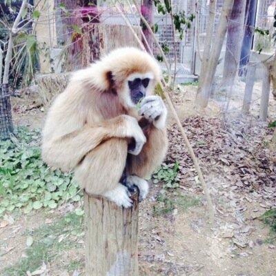 こっちもう使ってないです