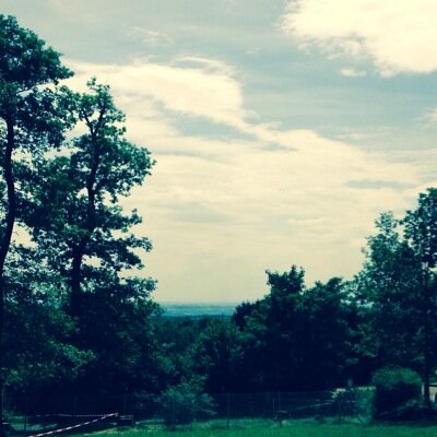 SonjaNink's profile picture. 