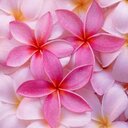 Kim Egan - @kimmiekim1986 - Twitter