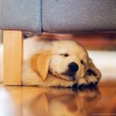 mya leanne Rodriguez - @041f9db259c747b - Twitter