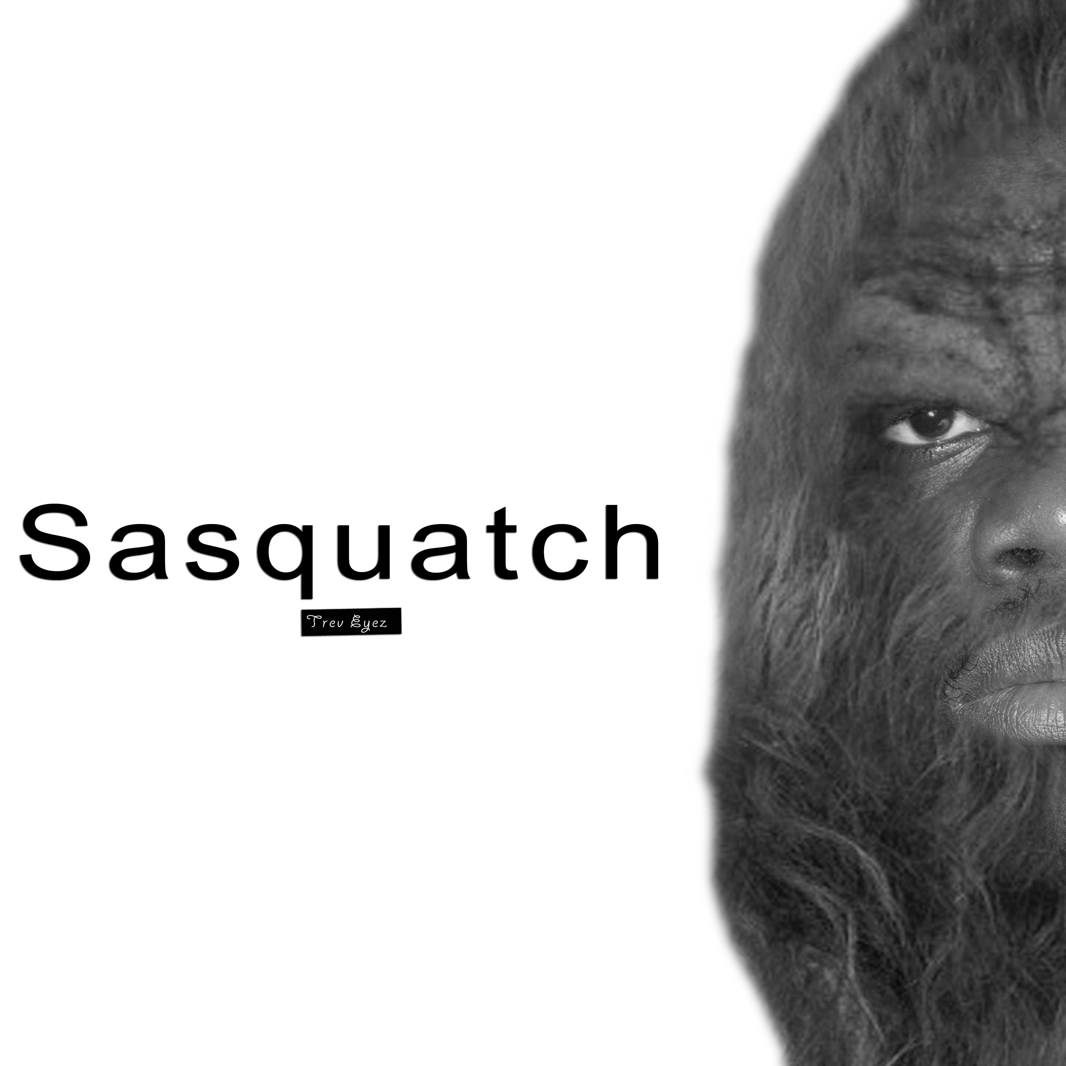 THE OFFICIAL PROMO & STREET TEAM4 Sasquatch (Audio CDs) ~ Trev Eyez Link: http://t.co/TxBOatlsJO