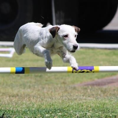 jrtresq2's profile picture. 