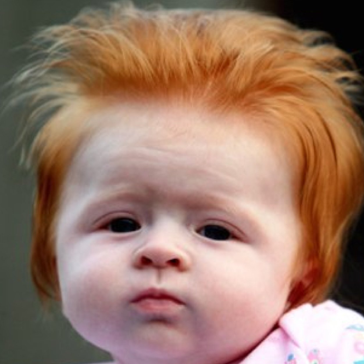 Straight out of Hamlin, crazy little ginger, from the gang called Gingers With Attitude