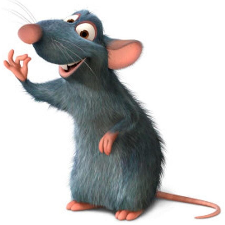 BSc (hons) EH Profile