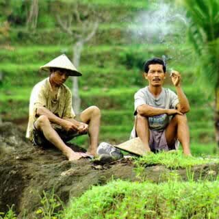 PetaniJogja's profile picture. Petani, Pendengar, Pembaca, dan Pemirsa