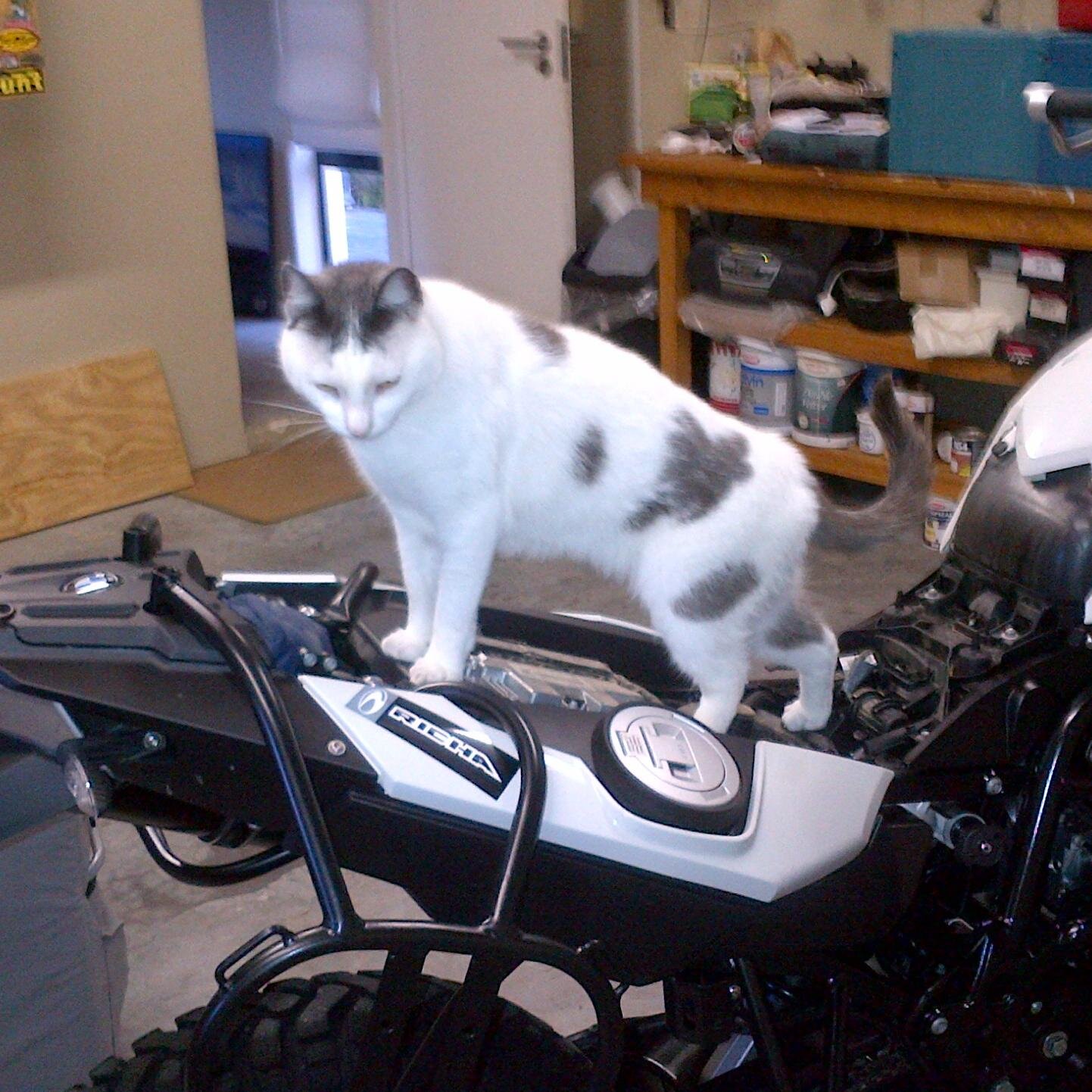 andrewhonney's profile picture. 