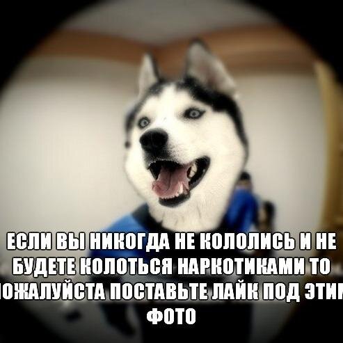 Я гавно я сука я пизда тупая ахахахаха вдормфдылдстдворицмжщфшßСЬßОЛПАМИДТЯОЫЛ СРАВНЯЫВИ ЫБОРОВРПМБОР