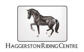 Northumberland's Premier Horse Riding Experience. Northumberland Beaches, Ancient Castles and rugged Islands, the perfect scenery for fantastic horse riding