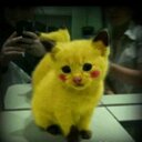 Austin &spain - @ainoa_martos - Twitter