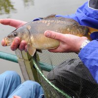 Albrighton Trust (@albrightontrust) 's Twitter Profile