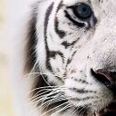 Kand - @728Sai - Twitter