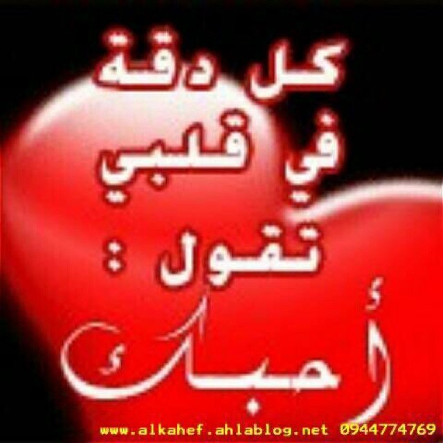 aliaali922's profile picture. 