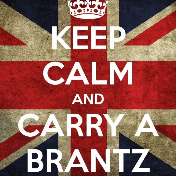 The Official Brantz brand of Rally Tripmeters and Retrotrips