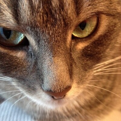 leith_craig's profile picture. 