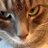 leith_craig's profile image