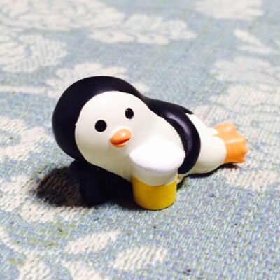 canaf_o211's profile picture. NDSU卒 / ISA