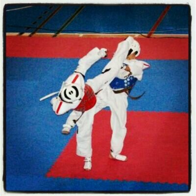 Taekwondo como estilo de vida