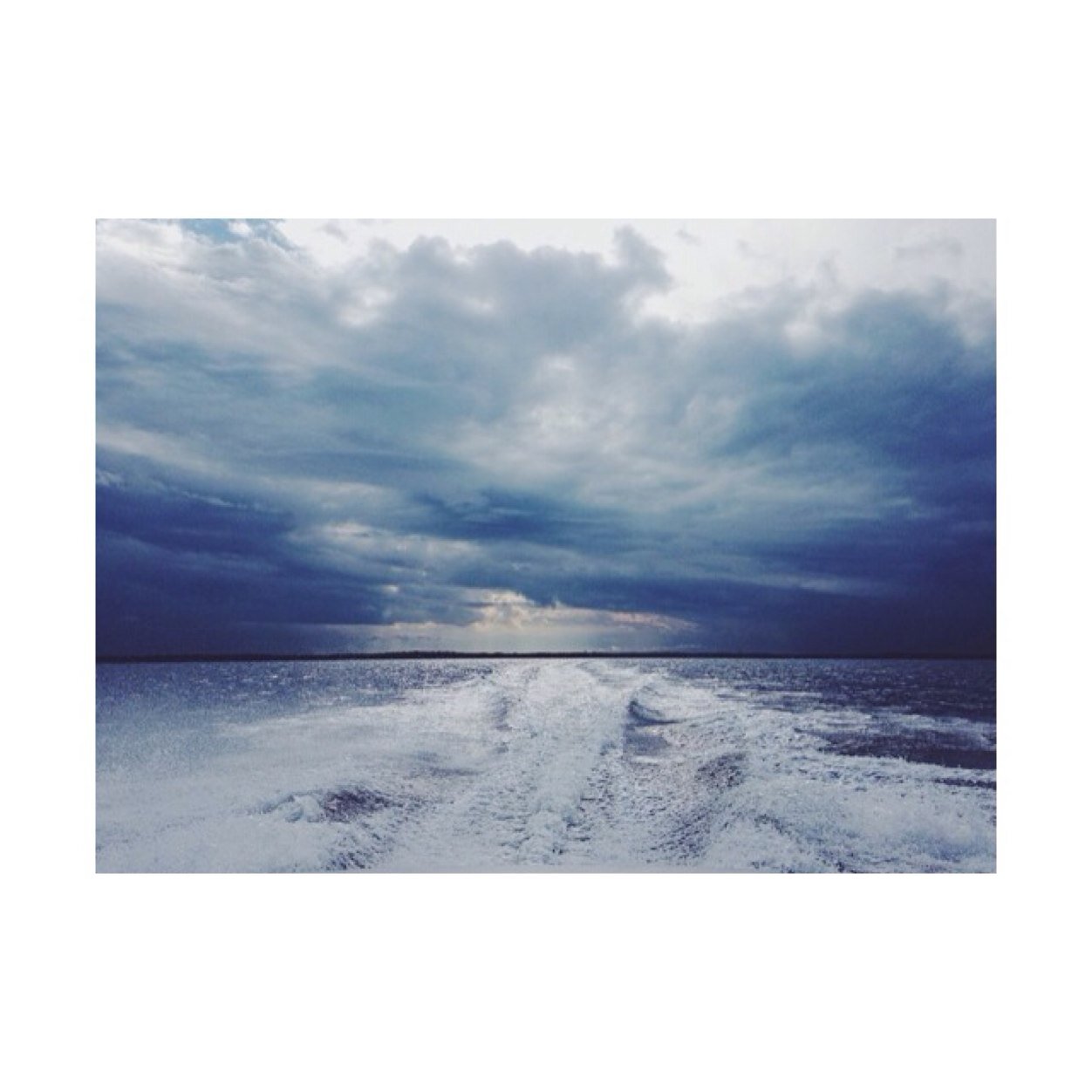 123abc101's profile picture. 