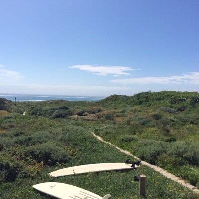 Mmmattgray's profile picture. 