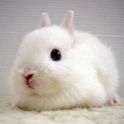グッズの交換・譲渡垢です。最後までしっかりと取引させていただきます！
譲渡や交換をしてくださる方は«ID付き写真の提示»をお願いします。
個人情報の交換後にキャンセルは絶対にやめてください。成人済25↑
  ※お声がけいただく方はツイフィ読んでください。