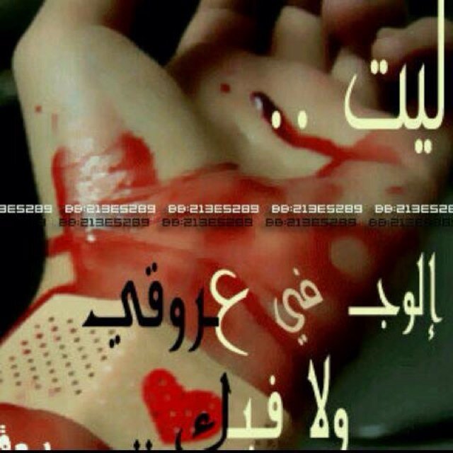 الله خلقنا فوق الاسياد ساده