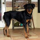 Fred Mastin - @MastinFred - Twitter