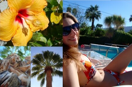 sarkio3's profile picture. 