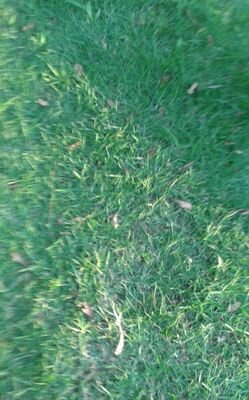 Child of God. Nature. GIS. Urban Devt. Rail