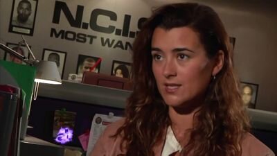 I am German, my Idol is Cote de Pablo, i love Ncis*-* It changed me3