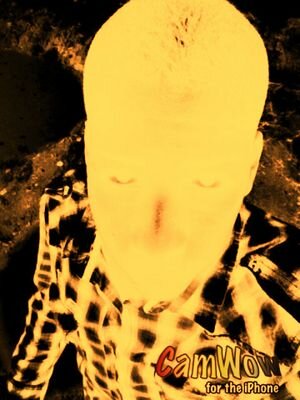TEAM I FOLLOW BACK