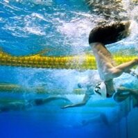 m_schonbachler's profile picture. 