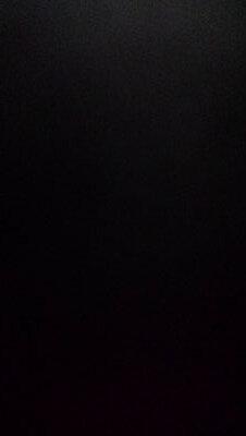 09mrashid01mmhs's profile picture. If you're going to be a bear, be a grizzly. 