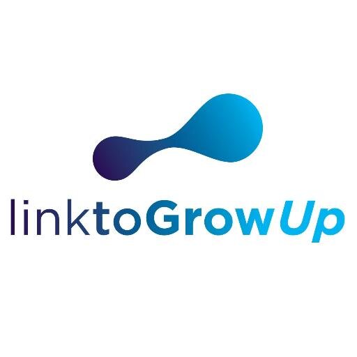 linktoGrowUp ahora es la Etapa 4 de @linktoStart: Consolidación y preparación para aceleradoras e inversión.