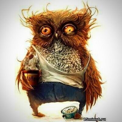 Владимир Пугач (@vpougatch) | Twitter