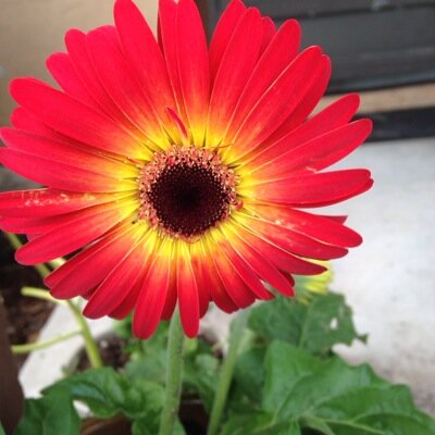 NUMBERKEEPER's profile picture. 
