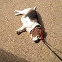 MAD_III's profile picture. Long Island, NY. Project Manager. If you love something let it go if it comes back to you it's yours, if it doesn't it never was. JD