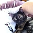 Terri Manning - @terman51218 - Twitter